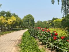 -绿堤公园