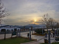 -君乐宝优致牧场
