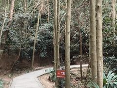 -窦圌山风景区