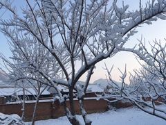 -黑龙潭风景区