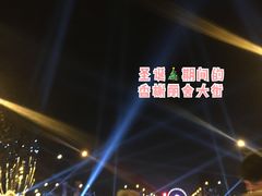-巴黎圣母院