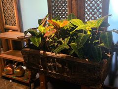 -慢丽江·云南野生菌土鸡锅(西山店)
