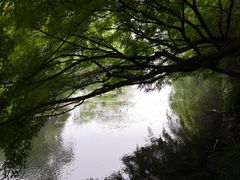 -西湖外事游船(花港观鱼码头)