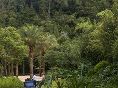 -腾冲洞山温泉村