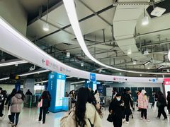 -东方体育中心(地铁站)