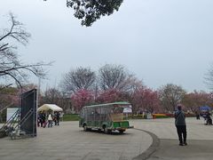 -凤凰沟景区