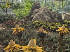 -南通洲际绿博园