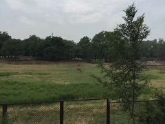 -北京麋鹿生态实验中心