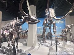 -国家自然博物馆