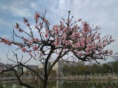 -江南大学(蠡湖校区)