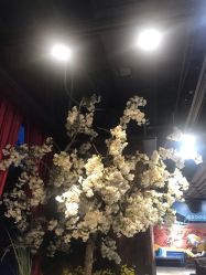 -侨治发型