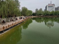 -金城公园