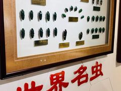 -上海昆虫博物馆