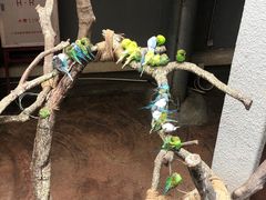 -正佳雨林生态植物园