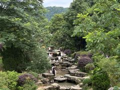 -桃花岭景区
