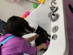 -宠颐生中康贝怡动物医院