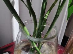 -时间仓(月湖公园店)