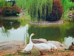 -鹦鹉寺公园