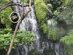 -Chom Cafe and Restaurant