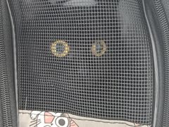 -诺比宠物医院心脏内科·泌尿肾内外科·骨科急重症