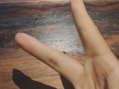 -陈麻婆豆腐(旗舰店)