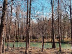 -西溪国家湿地公园