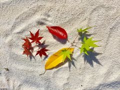 -映月湖中央公园