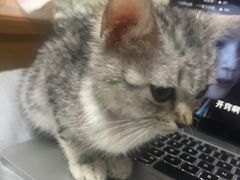 -美美宠物诊疗中心·异宠·骨科(滨江东信分院)