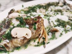 笋壳鱼-蝶园·装修中(BFC外滩金融中心店)