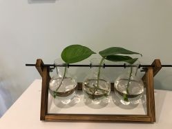 点击看大图 -至臻康妍健康管理中心