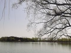 -颐和园