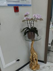 -上海漾颜医疗美容