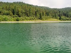 -武陵山森林公园