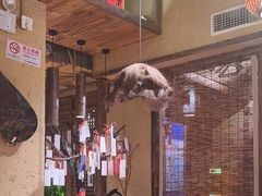 -泥糊破店小酒馆·团建聚餐(南京西路店)