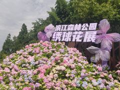 -上海滨江森林公园