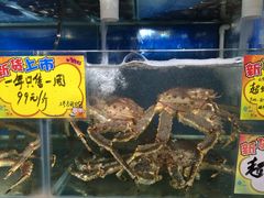 -蚝专家(北滘店)