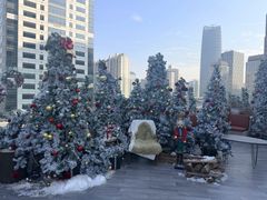 -城市露台景观餐厅(淮海路店)