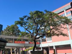 -香港理工大学