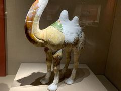 -宁夏博物馆