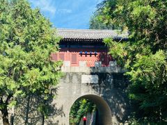 -云岗森林公园