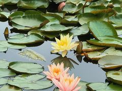 -白鹭湾湿地公园