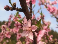 -贵阳市花溪国家城市湿地公园