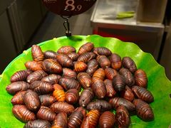 -拾光与烟火丨炭火串烧·自贡小活鲜(西村大院店)