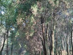 -白马涧龙池景区