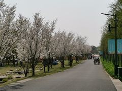 -嘉北郊野公园