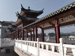 -姚林轩