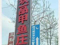 -高坎一品甲鱼庄(两河店)