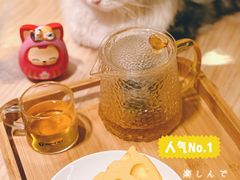 -猫腻·猫咖·撸猫馆(星光大道店)