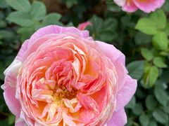 -人民公园(罗湖区)