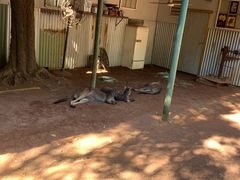 -费瑟代尔野生动物园